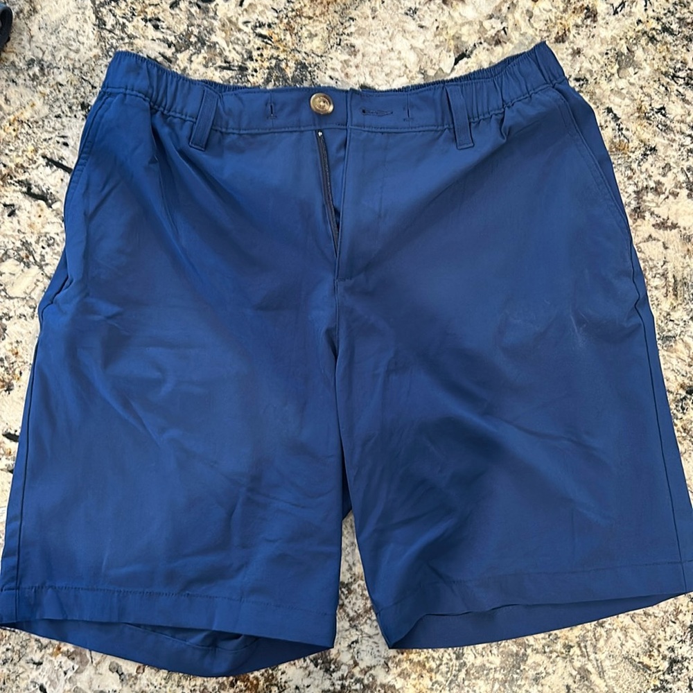 Chubbies Everywhere Performance Shorts - image 1